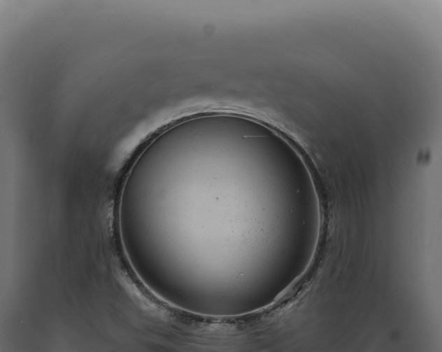 X0000089961503200707061130