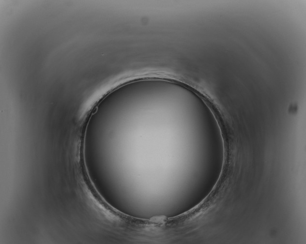 X0000089961504200707061130