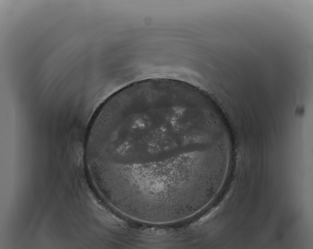X0000089961505200707061130