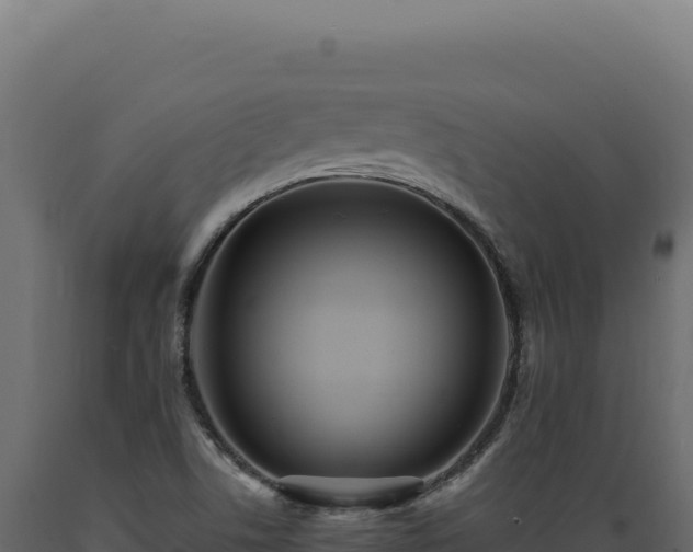 X0000089961506200707061130