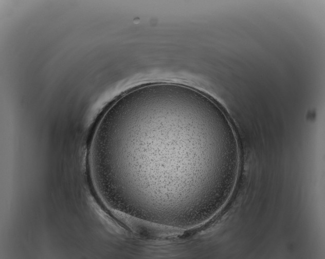 X0000089961507200707061130