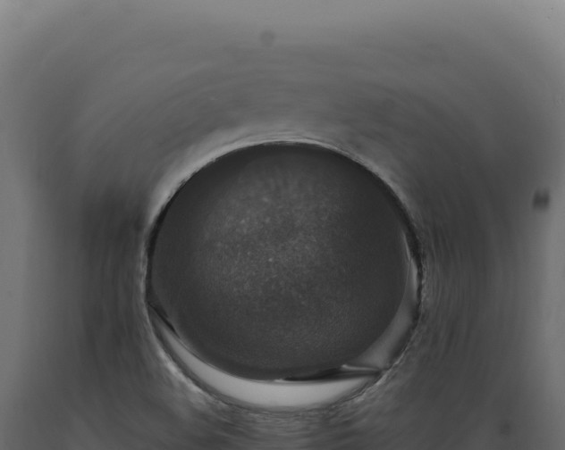 X0000089961508200707061130