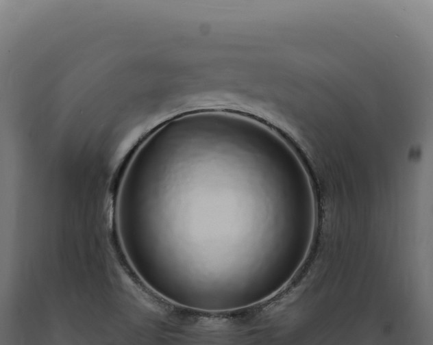 X0000089961509200707061130