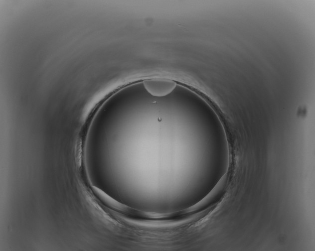 X0000089961510200707061130