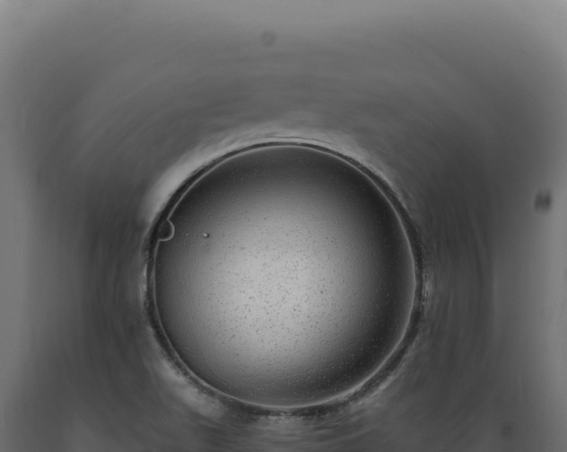 X0000089961511200707061130