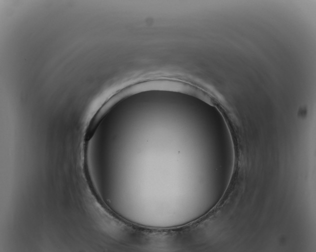X0000089961512200707061130