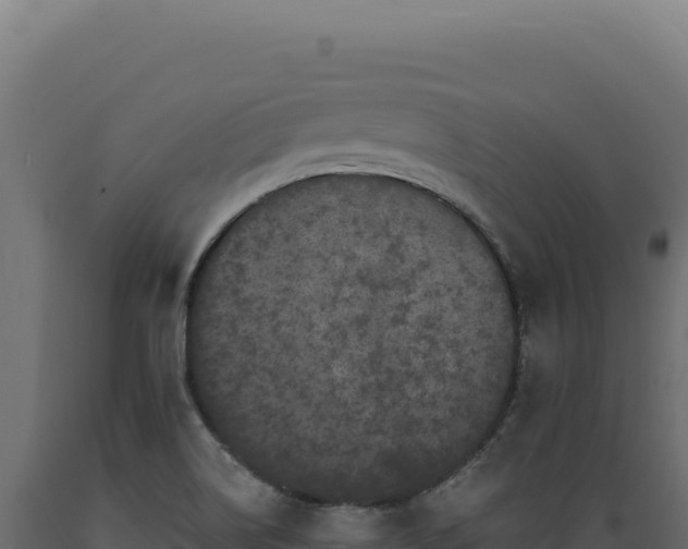 X0000089961514200707061130