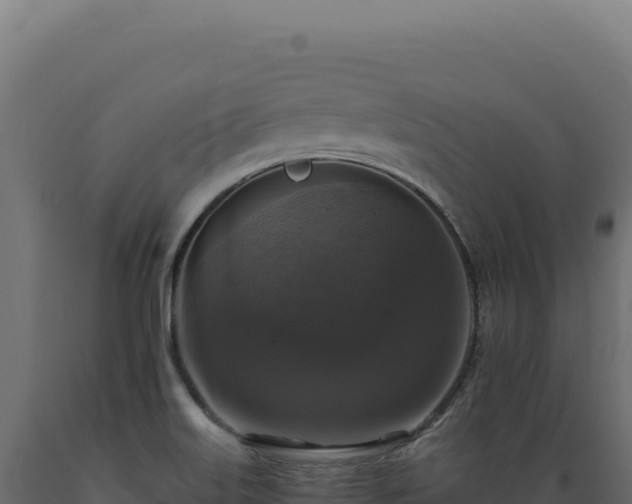 X0000089961515200707061130