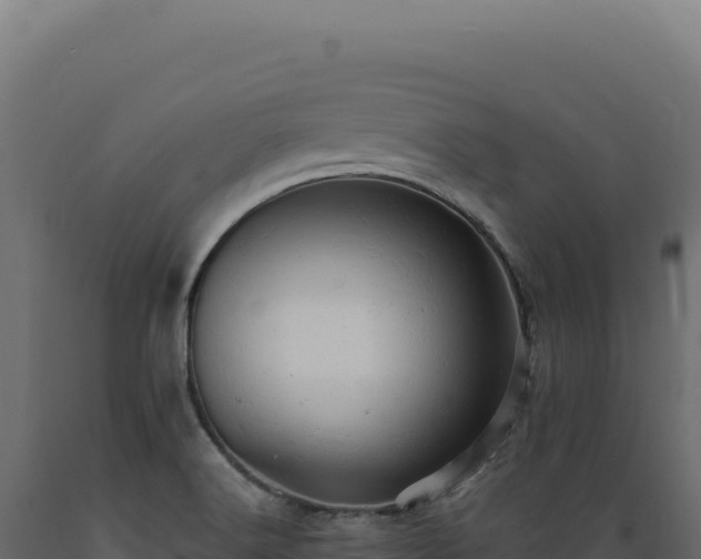 X0000089961516200707061130