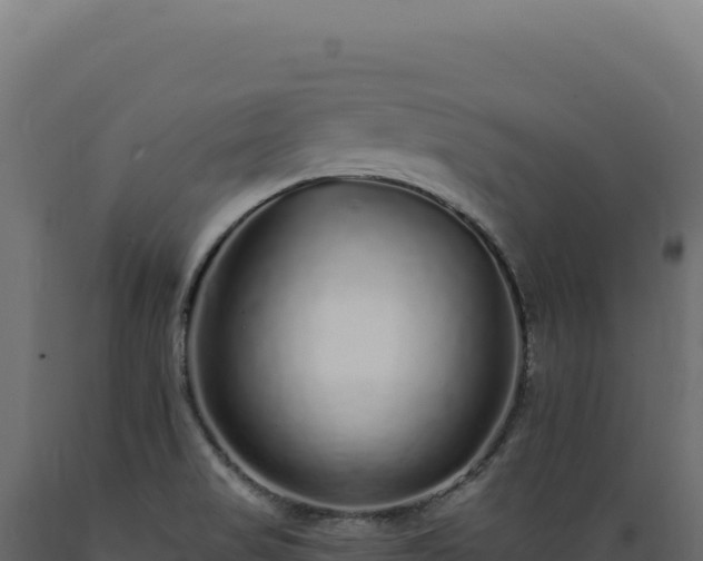 X0000089961517200707061130