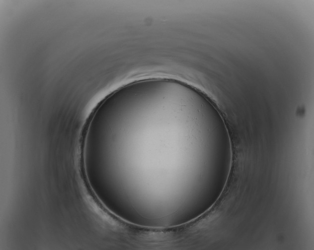 X0000089961518200707061130