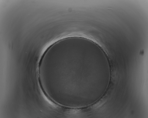 X0000089961519200707061130