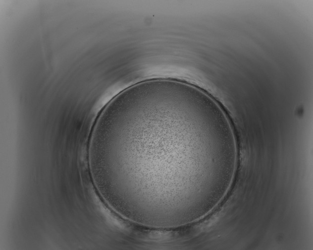 X0000089961521200707061130