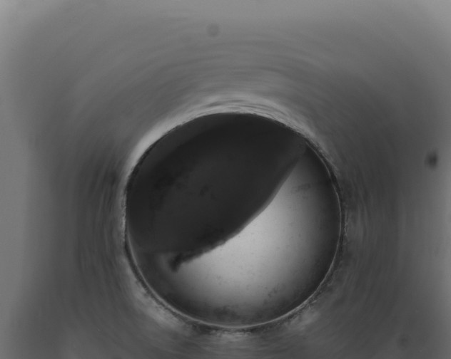 X0000089961522200707061130