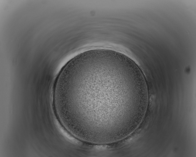 X0000089961523200707061130