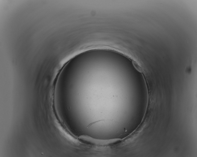 X0000089961526200707061130