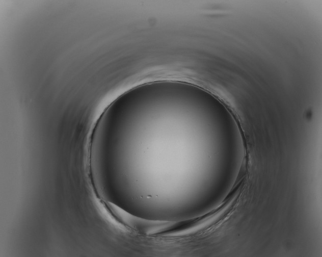 X0000089961528200707061130