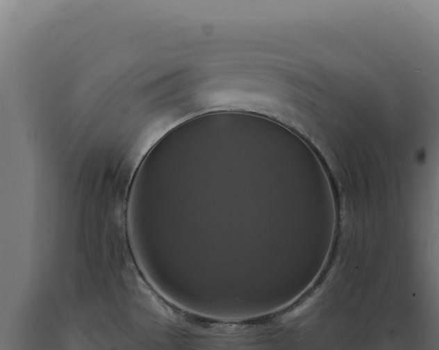 X0000089961529200707061130
