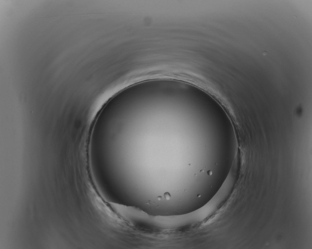 X0000089961530200707061130