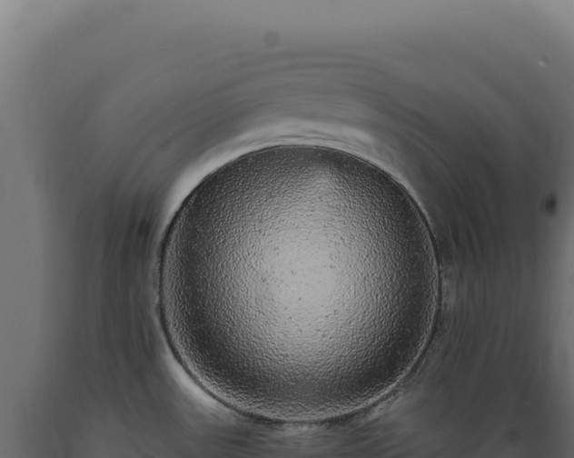 X0000089961531200707061130