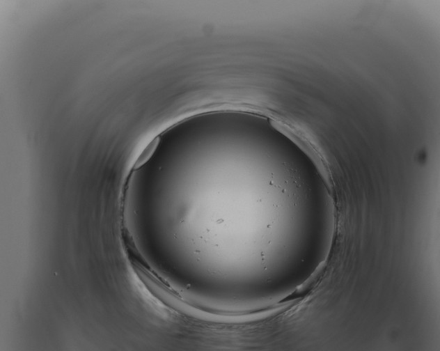 X0000089961532200707061130