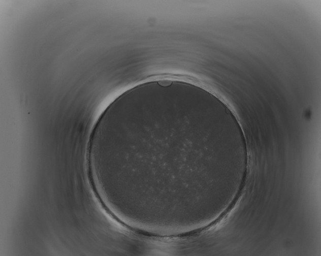 X0000089961533200707061130