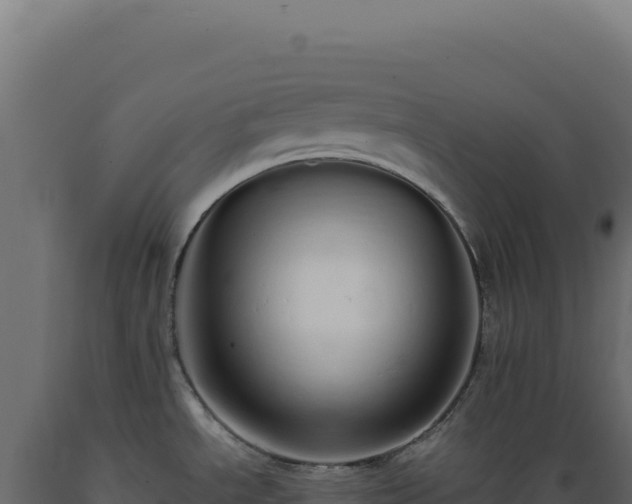 X0000089961534200707061130