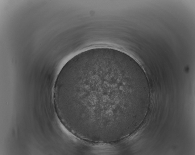 X0000089961535200707061130