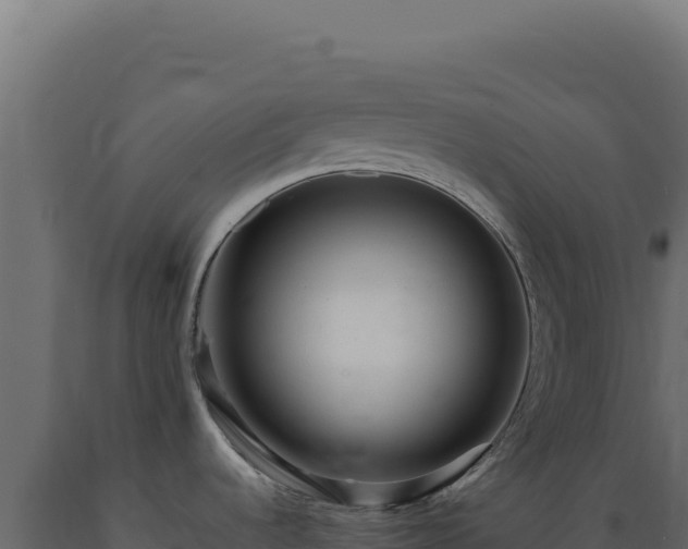 X0000089961536200707061130