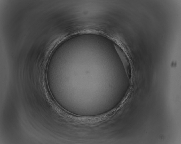 X0000089960001200707131547