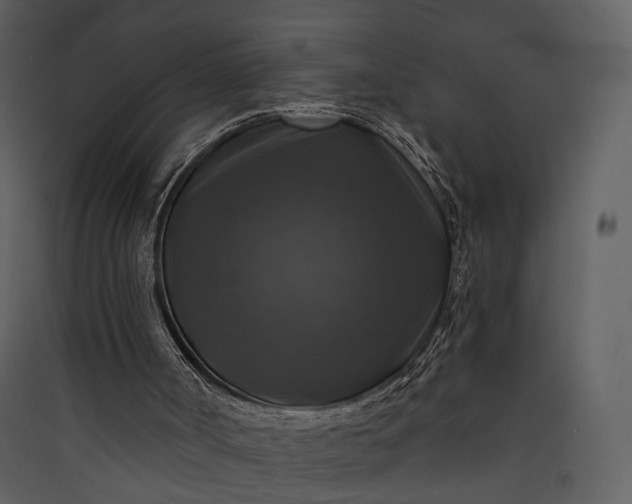 X0000089960002200707131547