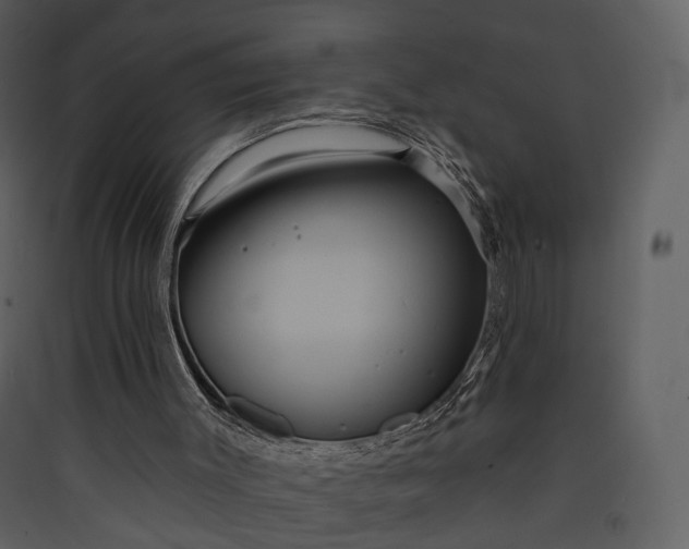 X0000089960003200707131547