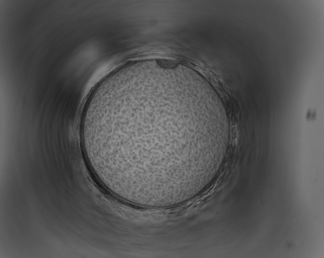 X0000089960004200707131547