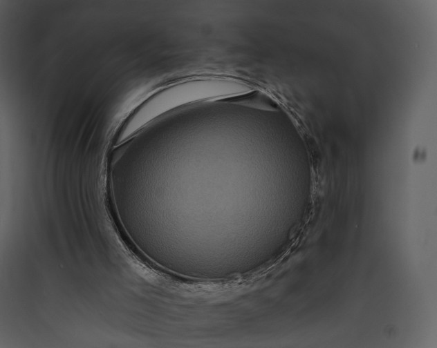 X0000089960005200707131547