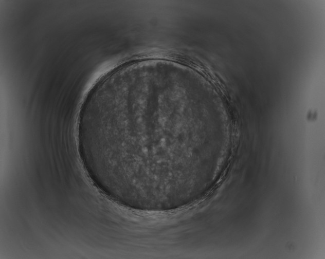 X0000089960006200707131547