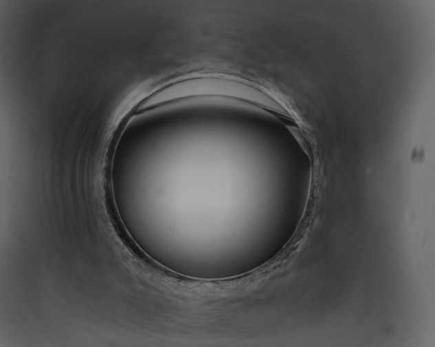 X0000089960007200707131547