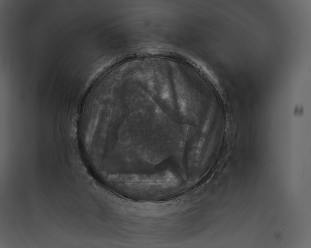 X0000089960010200707131547