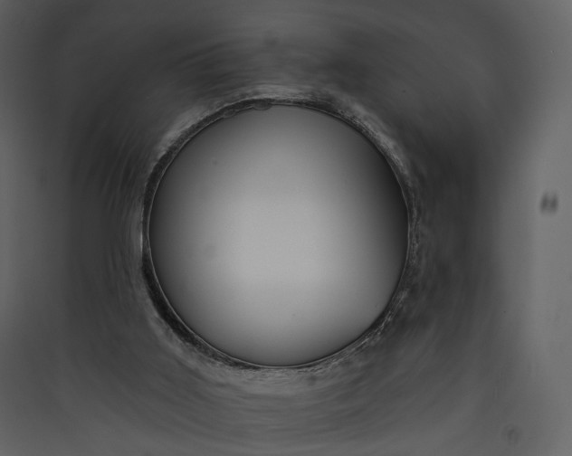 X0000089960011200707131547