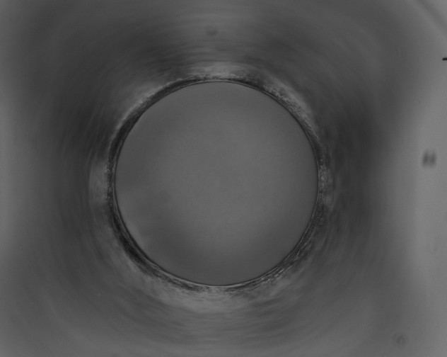 X0000089960012200707131547