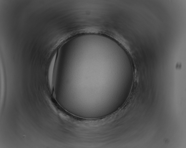 X0000089960013200707131547