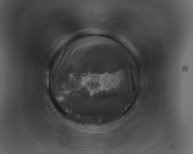 X0000089960014200707131547