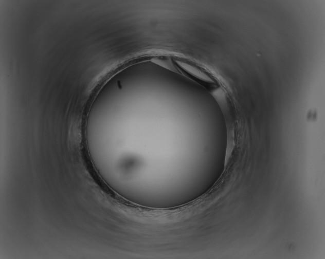 X0000089960015200707131547