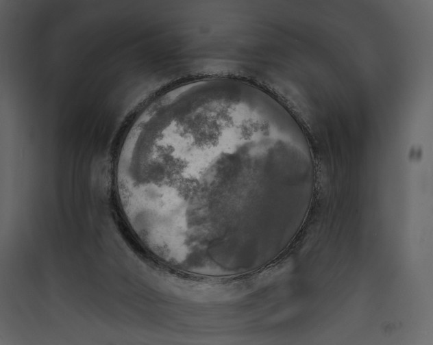 X0000089960016200707131547