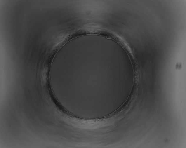 X0000089960018200707131547