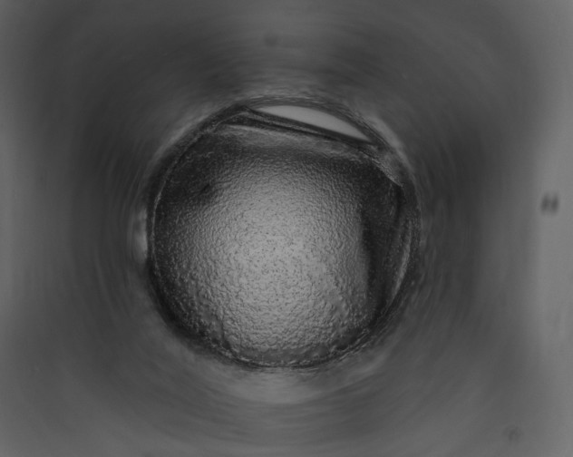 X0000089960020200707131547