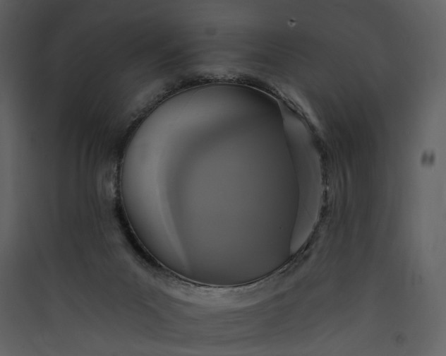 X0000089960023200707131547