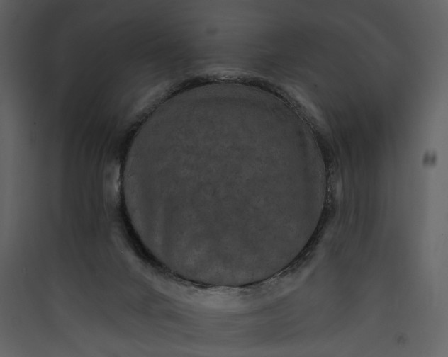 X0000089960024200707131547