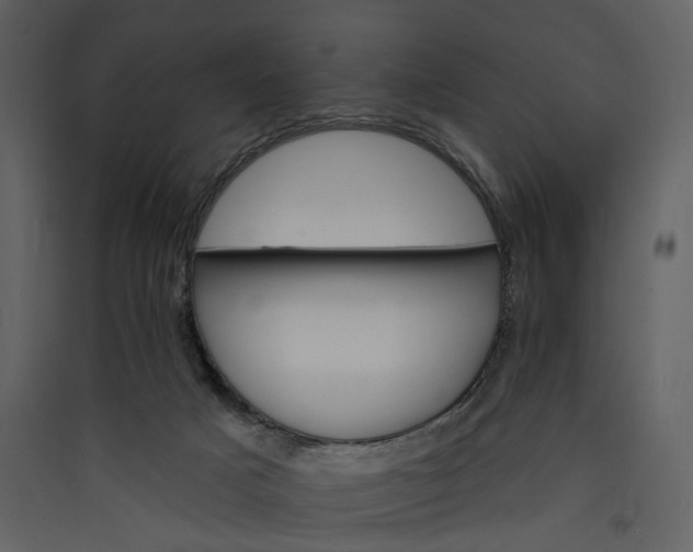 X0000089960025200707131547