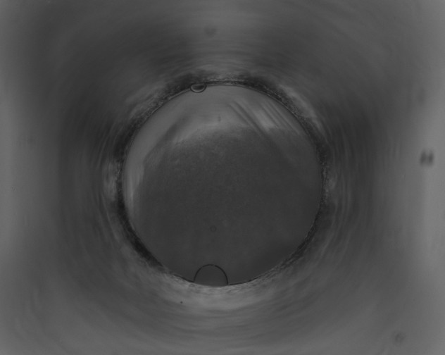 X0000089960026200707131547