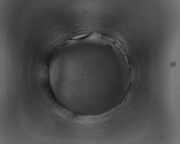 X0000089960029200707131547